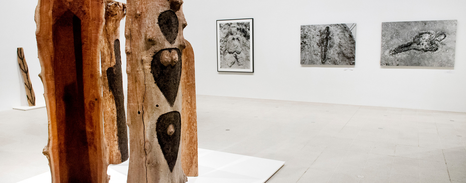 Totem Series by Ana Mendieta at Traces exhibition, Hayward Gallery 2013 Totem series by artist, Ana Mendieta at Hayward Gallery